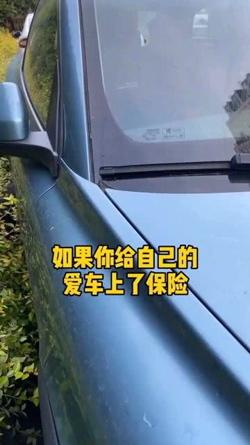 汽车违章多少天更新